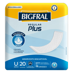 Bigfral Absor P/ Incontinencia Reg Plus 20 Un