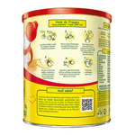21636----Composto-Lacteo-Nestle-Ninho-Fases-1-Lata-400g-2