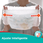 AnyConv.com__pants-2