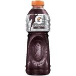 gator-uva-pet-500ml-7892840808051