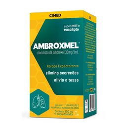 Ambroxmel Adulto sabor Mel e Eucalipito 120ml