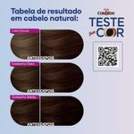 Kit Tintura Cor   Ton 4 0 Castanho M dio  2